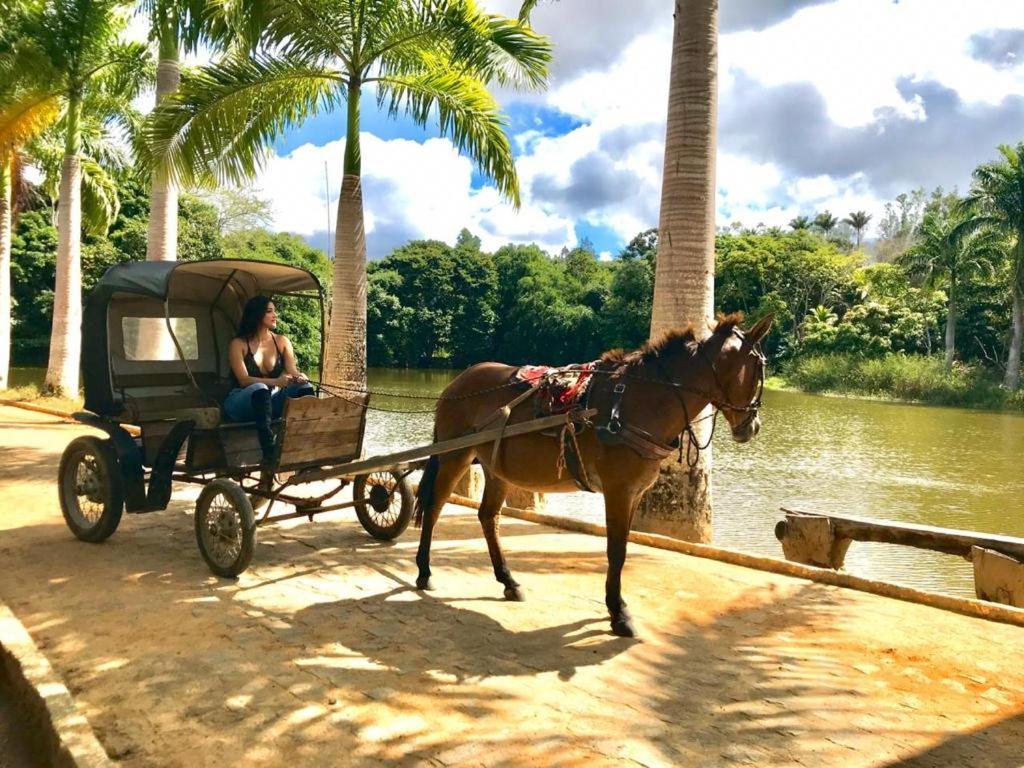 Farm Stay Fazenda Betânia, Iraci, Brazil 